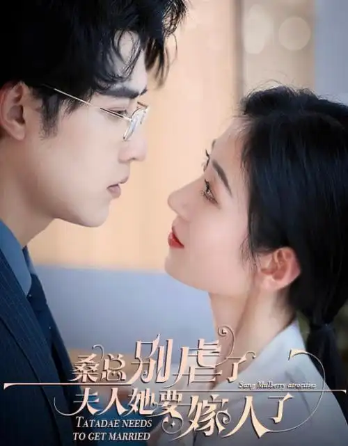 长夜将明 热播电视剧全集免费在线观看